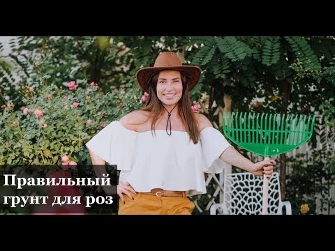 Видео: Про грунт для роз