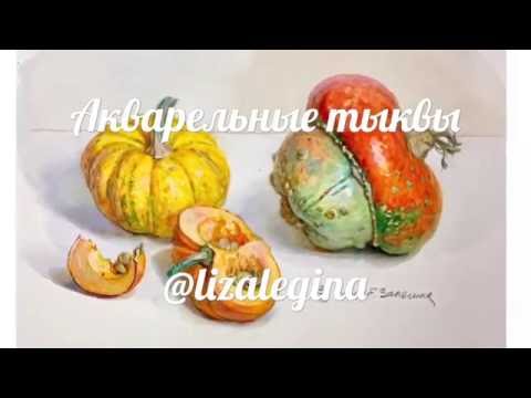 Видео: Как написать тыквы акварелью с натуры