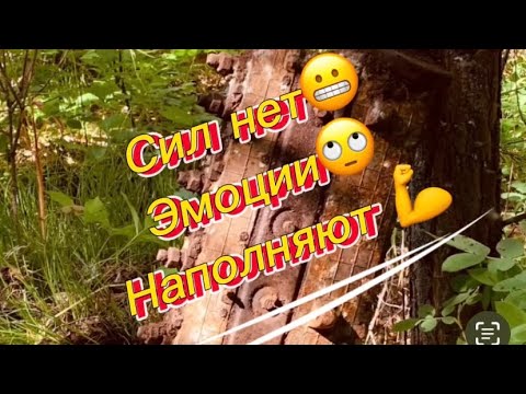 Видео: Удачно съездил в лес.                                          ￼Копаю он￼ не кончается 🥳￼￼￼￼￼.
