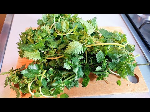 Видео: Соседи в Турции научили меня так готовить крапиву! ОЧЕНЬ ВКУСНЫЙ и ПОЛЕЗНЫЙ СОРНЯК / Рецепт крапивы