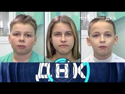 Видео: ДНК . Выпуск от 23.08.2025 - «Сухарики вместо алиментов» - ДНК 2025