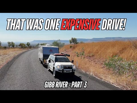 Видео: ДОРОГОЙ АВТОМОБИЛЬ | РЕКА ГИББ | Станция Элленбре | Автодом в Австралии | Внедорожный туризм | БЕ...