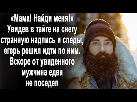 Видео: Увидев в тайге струнную надпись на снегу и следы, егерь следовал по ним. А вскоре увидел такое...