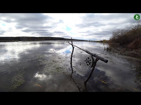 Видео: РЫБАЛКА НА НЕЙВЕ С ЖИВЦАМИ НА ЩУКУ С РЕЗИНКАМИ! ПЕРВЫЙ СНЕГ! НЕ ОЖИДАЛИ ТАКОГО РЕЗУЛЬТАТА!