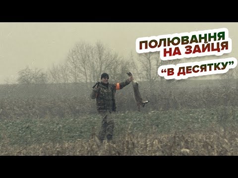 Видео: Полювання на зайця "В десятку" / Охота на зайца