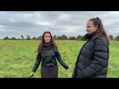 Видео: Курс «Земельный Магнат»