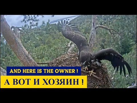 Видео: ТАНАЙ..., а чтобы не скучали!  🎉🐥😇TANAI... and not to be bored!🌲Камычи•07.09.2024