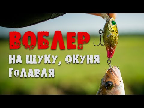 Видео: Воблер на щуку, окуня и голавля. Китайский Chubby 38F