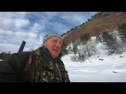 Видео: Долгожданное прибавление, прогулка на утёс