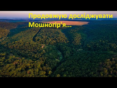 Видео: Яри Мошногір'я: джерело "Пуканки" та Вовчий яр