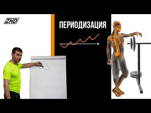 Видео: Периодизация