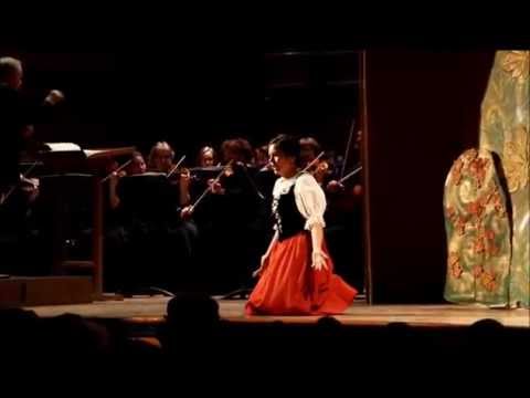 Видео: Elizaveta Borodina (soprano) В.А.Моцарт Ария Барбарины из оперы "Свадьба Фигаро"