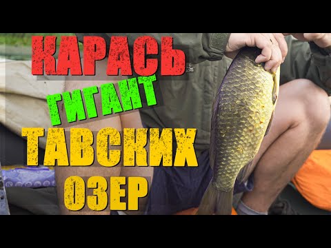 Видео: Рыбалка на карася с лодки/ Тавские озера/ Рыбалка с ночевкой/Скиталец