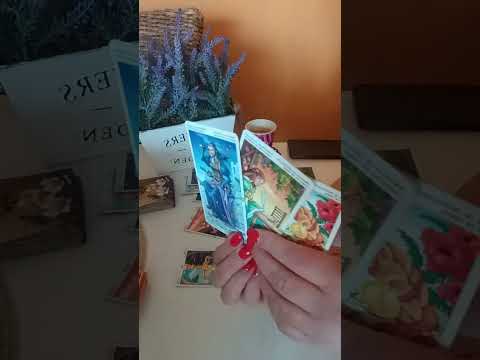 Видео: Какво се случва между тях съперницата
