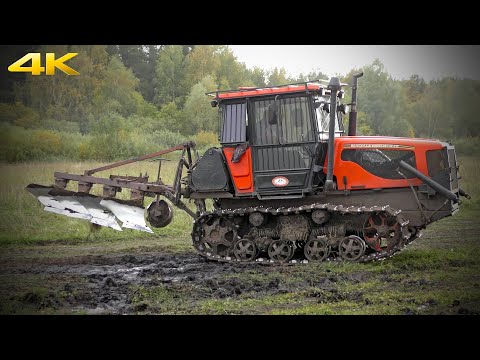 Видео: Гусеничный трактор ВТГ-90 - еще один потомок легендарного ДТ-75. Вспашка по целине