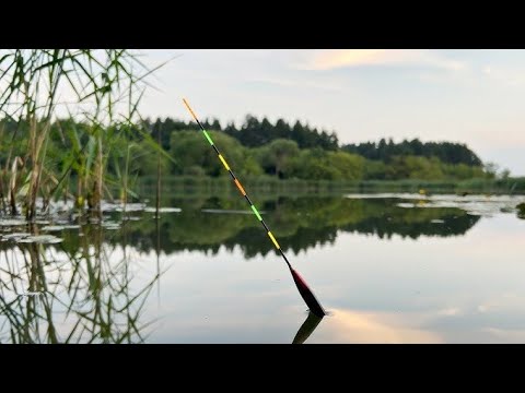 Видео: ВЫХОД ЛИНЯ РАННИМ УТРОМ!!ЛОВЛЯ ЛИНЯ НА ПОПЛАВОК.РЫБАЛКА НА ПОПЛАВОК 2025.