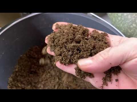 Видео: Про грунт для рассады, про томаты для раннего урожая.