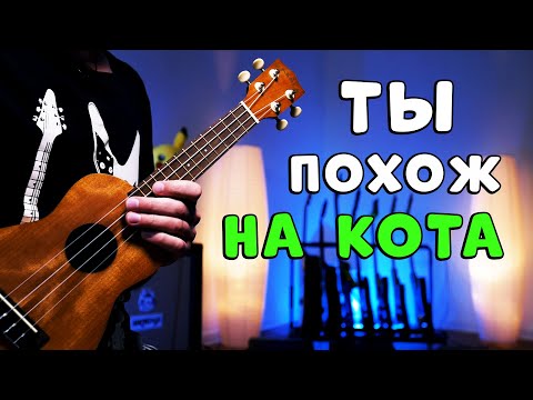 Видео: zhanulka - ты похож на кота | разбор на укулеле, как в оригинале