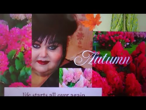 Видео: Группа поддержки 😊Едем к стоматологу.
