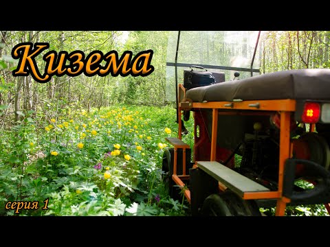 Видео: Забытая в лесу Киземская УЖД. Серия 1. Лайтовая.