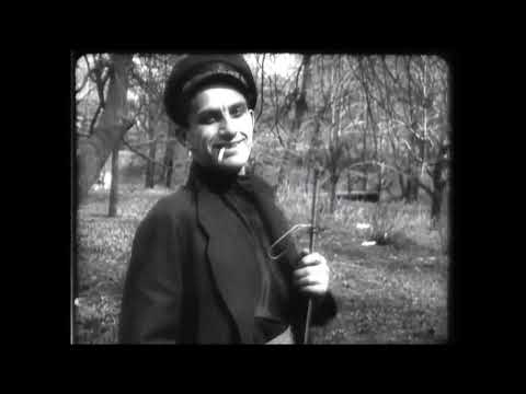 Видео: Разбор поэмы В. Маяковского "Про это"