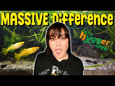 Видео: Я протестировал Hygger Clip на светодиодной лампе… Вот что я обнаружил