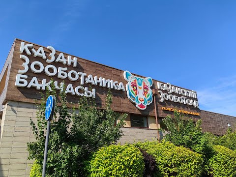 Видео: Зоопарк в Казани. Река Замбези