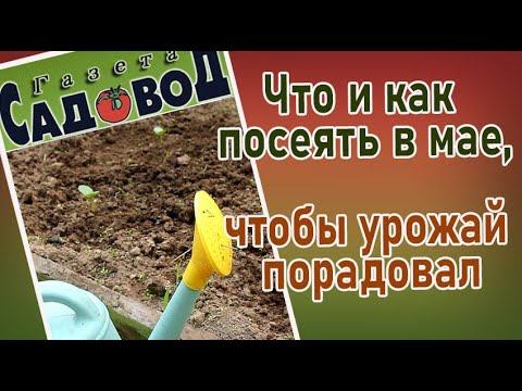 Видео: Что и как посеять в мае, чтобы урожай порадовал