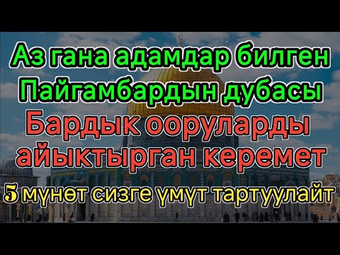 Видео: Жашырылган Пайгамбардын дубасы 🕊Бардык ооруларды айыктырган 5 мүнөттүк керемет