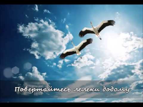 Видео: Повертайтесь лелеки додому - Ukrainian song