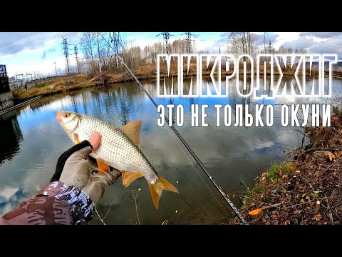 Видео: Микроджиг - это не только окуни!