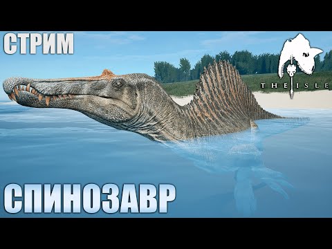Видео: ВЫЖИВАНИЕ ПОЛУВОДНОГО ХИЩНИКА | СПИНОЗАВР ► СТРИМ THE ISLE LEGACY