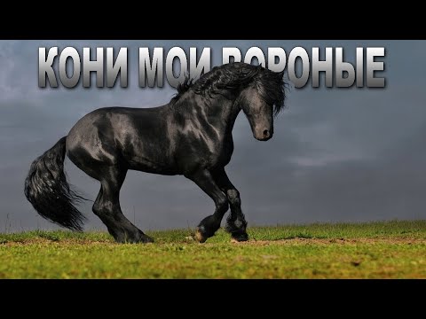 Видео: ОФИГЕННАЯ ПЕСНЯ! 👍 КОНИ МОИ ВОРОНЫЕ