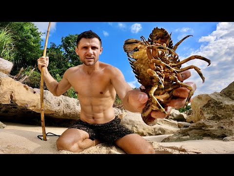 Видео: OП@СНАЯ встреча. Выживание на необитаемом острове. Подводная охота в океане. Поймал лангуста. №43