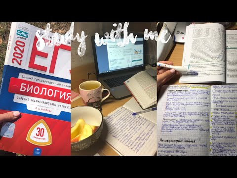 Видео: Study With Me| домашнее задание|покупки канцелярии