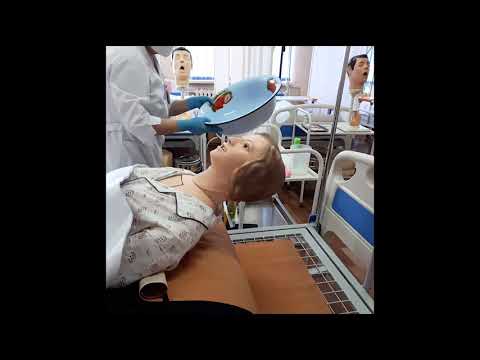 Видео: Шаш күту алгоритімі