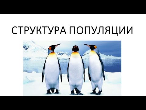 Видео: Популяция и ее структура