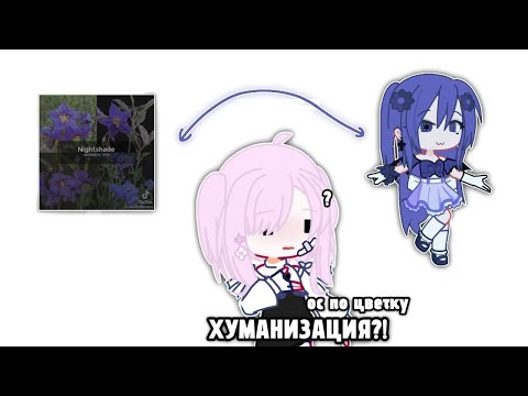 Видео: ХУМАНИЗАЦИЯ ОС С НУРИ! какая ос лучше?🌸