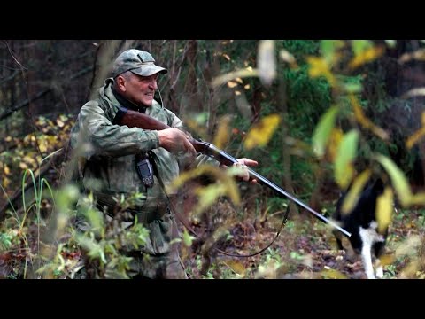 Видео: Осенняя Охота на Бобра с Лайками в Завьяловском районе | Самый интересный сезон охоты!