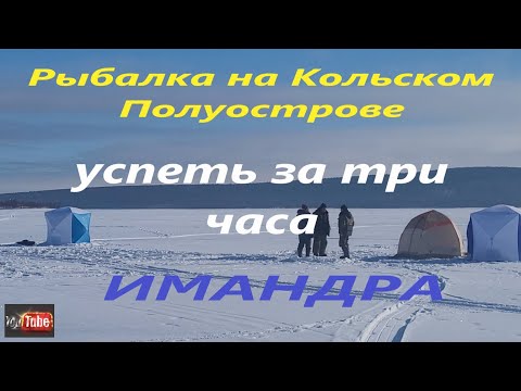 Видео: Рыбалка на Кольском Полуострове. Утренняя рыбалка. Ловля сига. Имандра. FISHINGSEVER