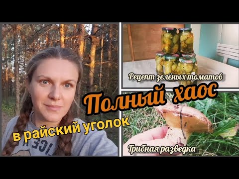 Видео: Жизнь на даче: Как превратить хаос в райский уголок?