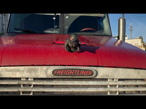 Видео: Ох и везет мне с выгрузками