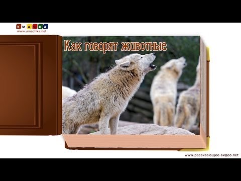 Видео: Как говорят животные (звуки животных) - развивающее видео для детей (2)