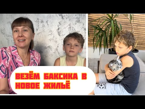 Видео: VLOG: Нам папа с утра сообщил…