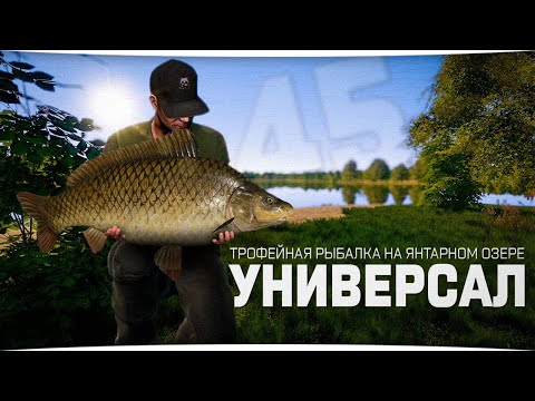 Видео: Трофейная рыбалка • Русская Рыбалка 4 • Аккаунт УНИВЕРСАЛА #45