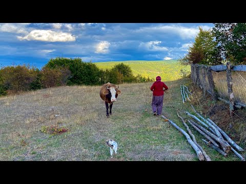 Видео: Деревенская жизнь. Семья, живущая в горах Турции. Документальный фильм.
