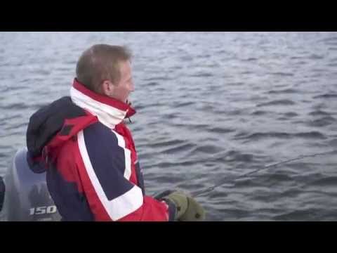 Видео: Ловля хищника на Каунасском водохранилище