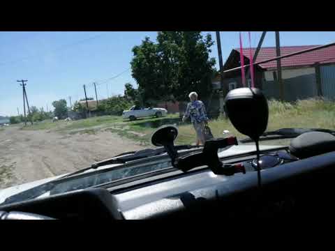 Видео: Золотая степь