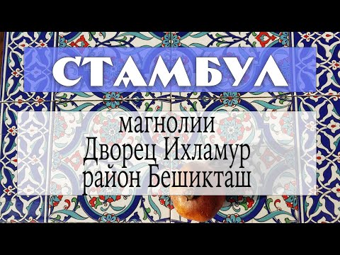 Видео: Стамбул Ихламур Палас, район Бешикташ и другие