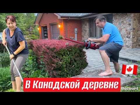 Видео: В ульях расплод новая пчелиная матка // Огород// Готовим грузинское блюдо в казане// жизнь в Канаде